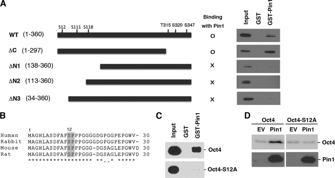 FIGURE 7.