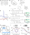 Fig 10
