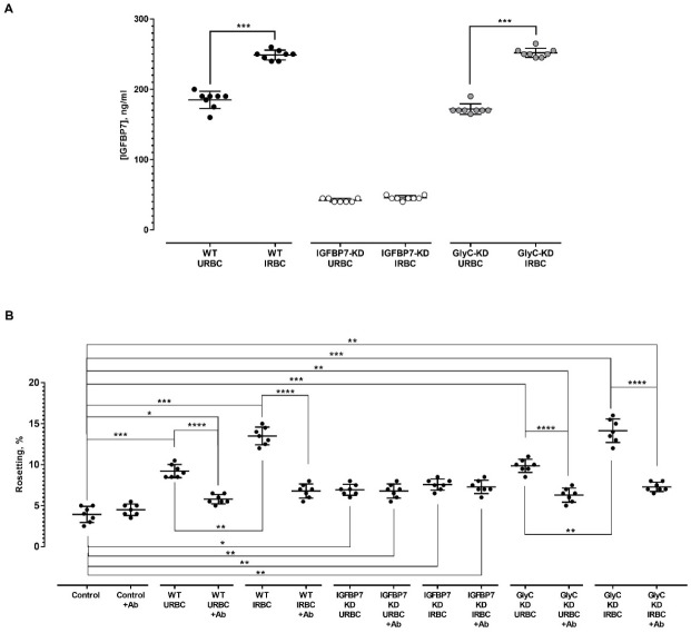 Figure 8—figure supplement 2.