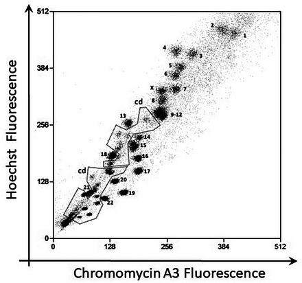 Figure 14