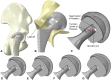 Fig. 2A–G