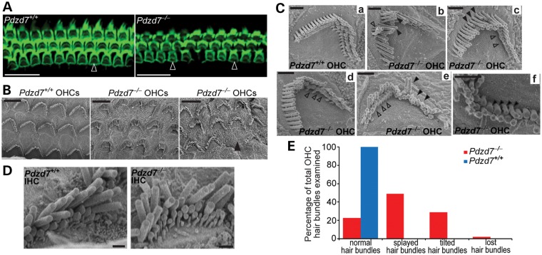 Figure 4.