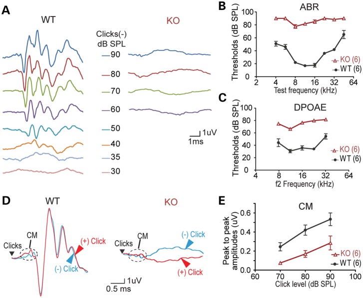 Figure 2.