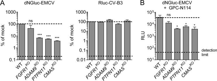 FIG 2