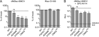 FIG 2