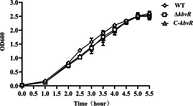 FIG 1