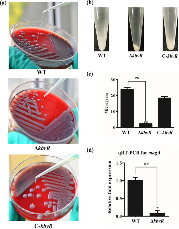 FIG 6