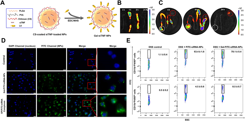 Figure 3