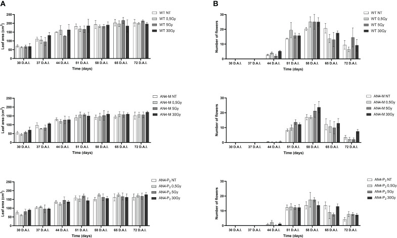 Figure 2