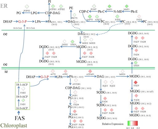 FIGURE 3.