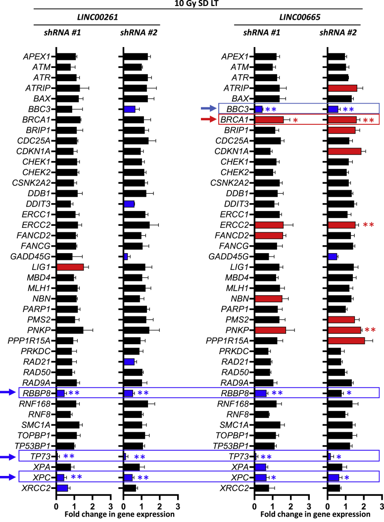 Figure 5