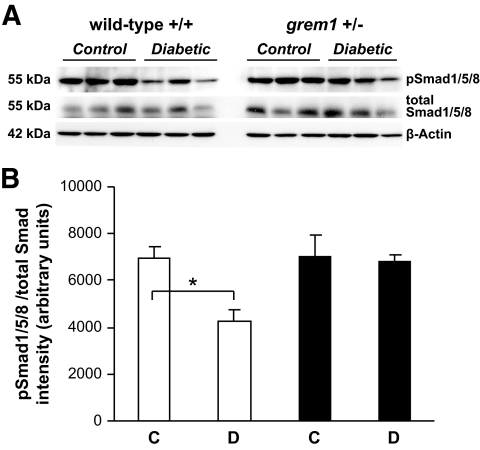 FIG. 8.