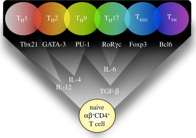 Figure 1.