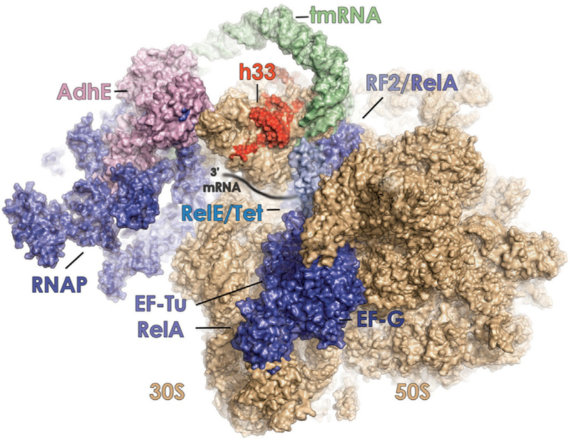 Figure 5.