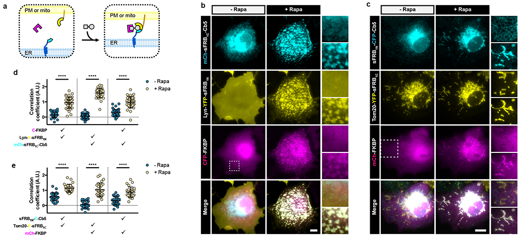 Figure 4: