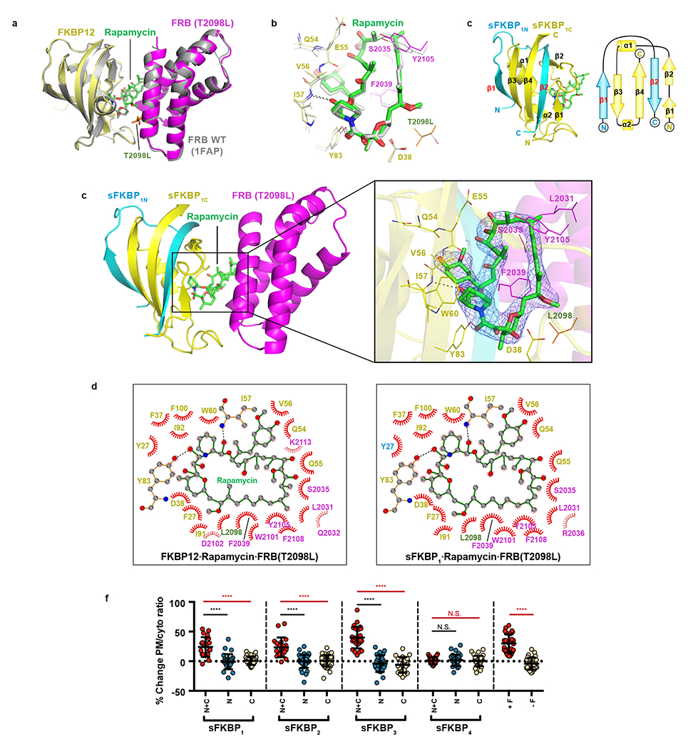 Figure 3: