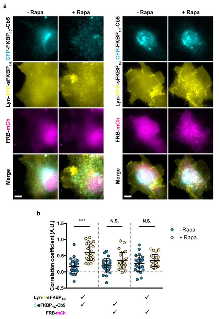 Extended Data Figure 2: