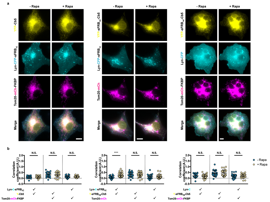 Extended Data Figure 4: