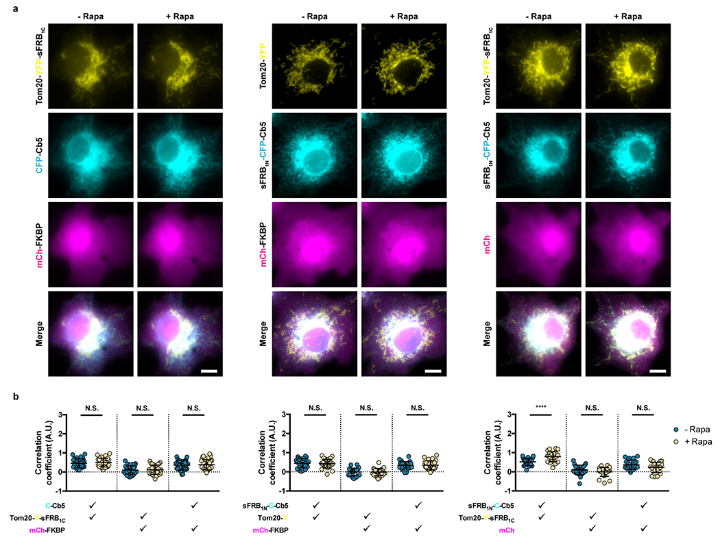 Extended Data Figure 3: