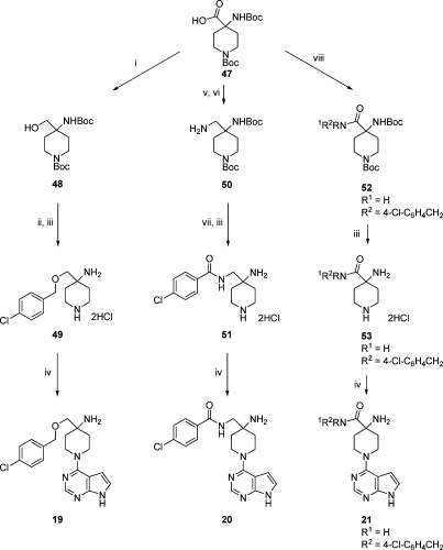 Scheme 2