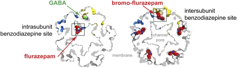 Fig. P1.