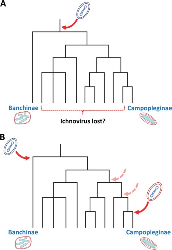 FIG 6