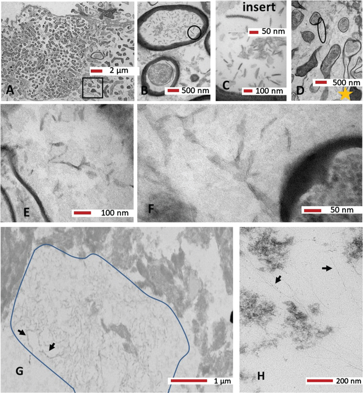 Fig. 9