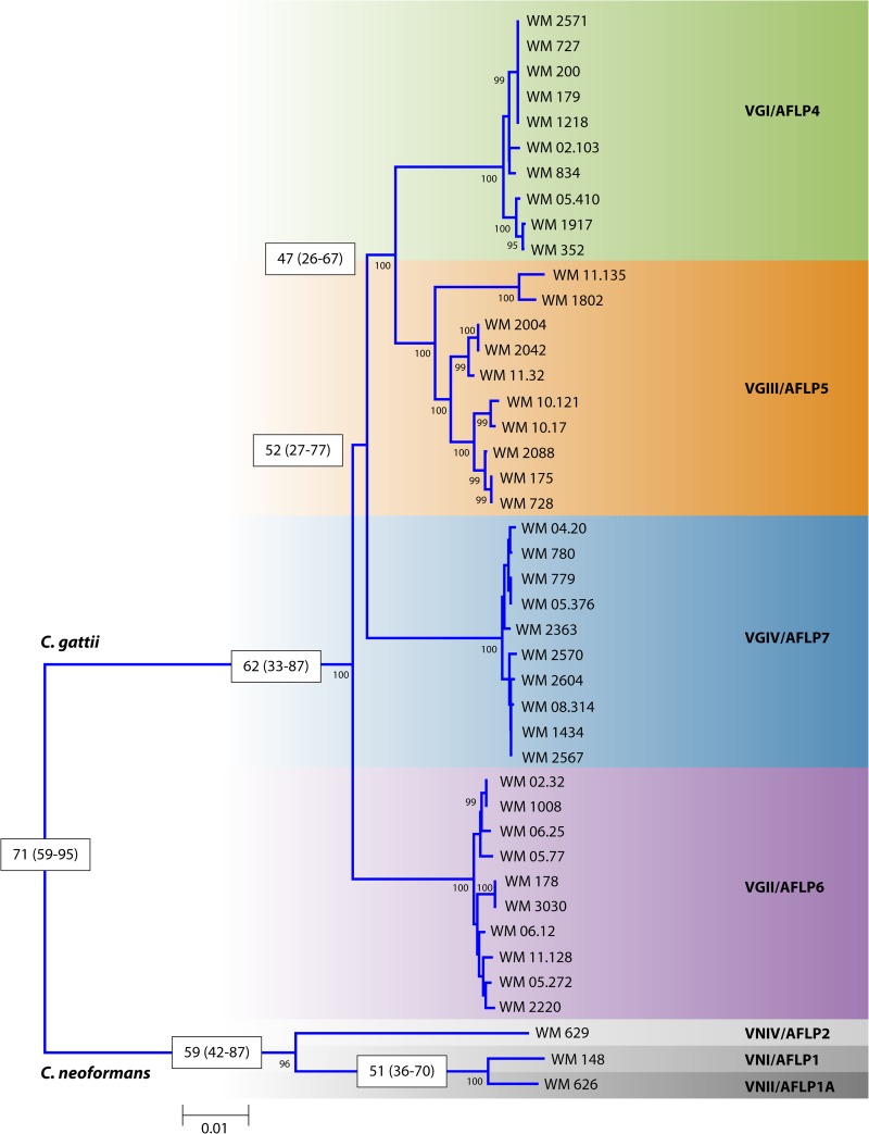 FIG 1