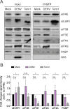 FIG 5