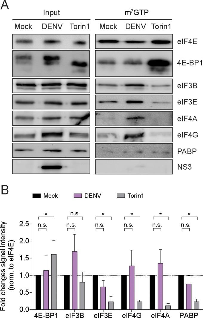 FIG 5 