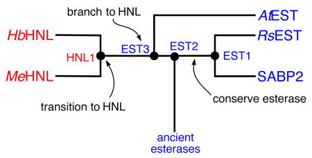 graphic file with name nihms859640u1.jpg