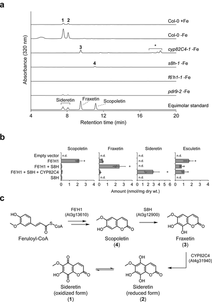 Figure 1 |