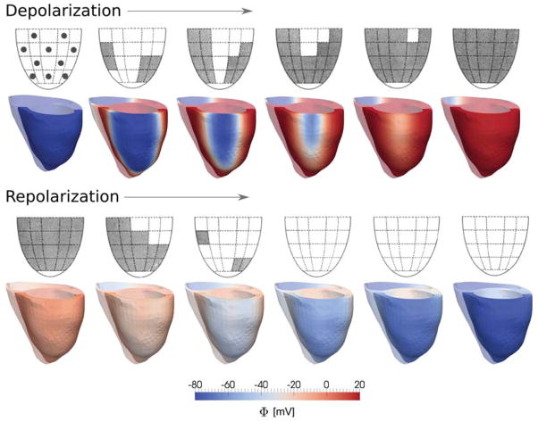 Figure 6