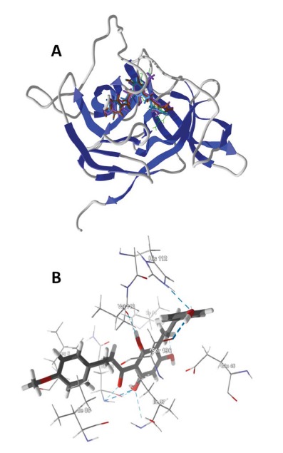 Fig. (1)