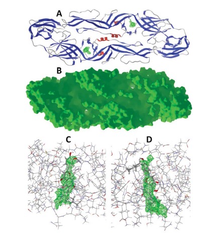 Fig. (4)