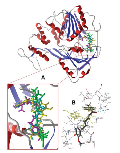 Fig. (3)