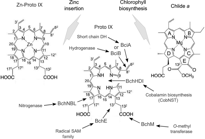 Figure 3.