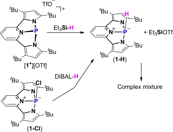 Scheme 5