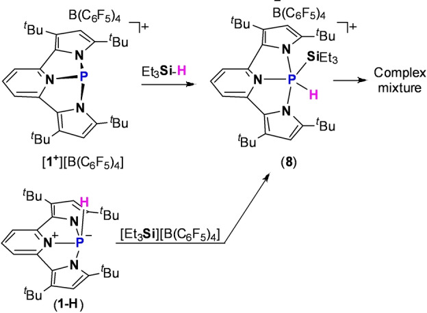 Scheme 6