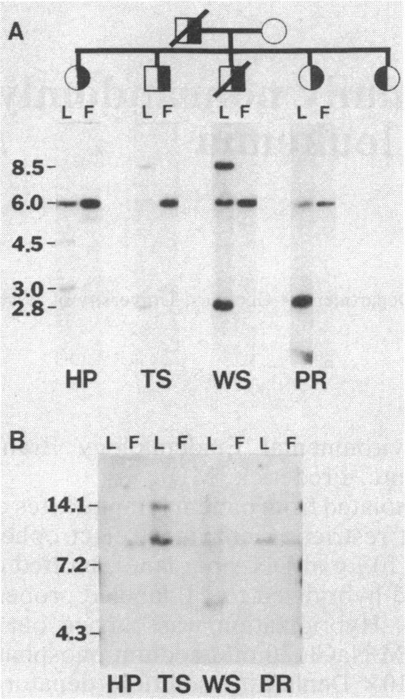 graphic file with name pnas00338-0399-a.jpg