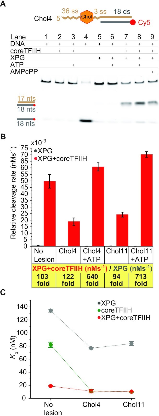 Figure 4.