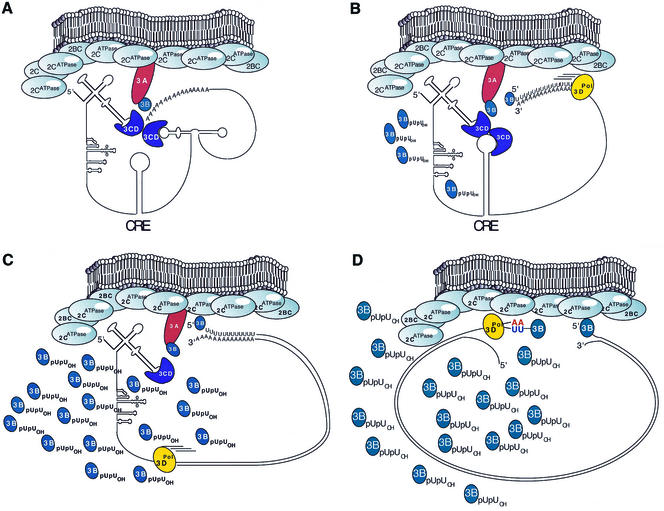 FIG. 7.