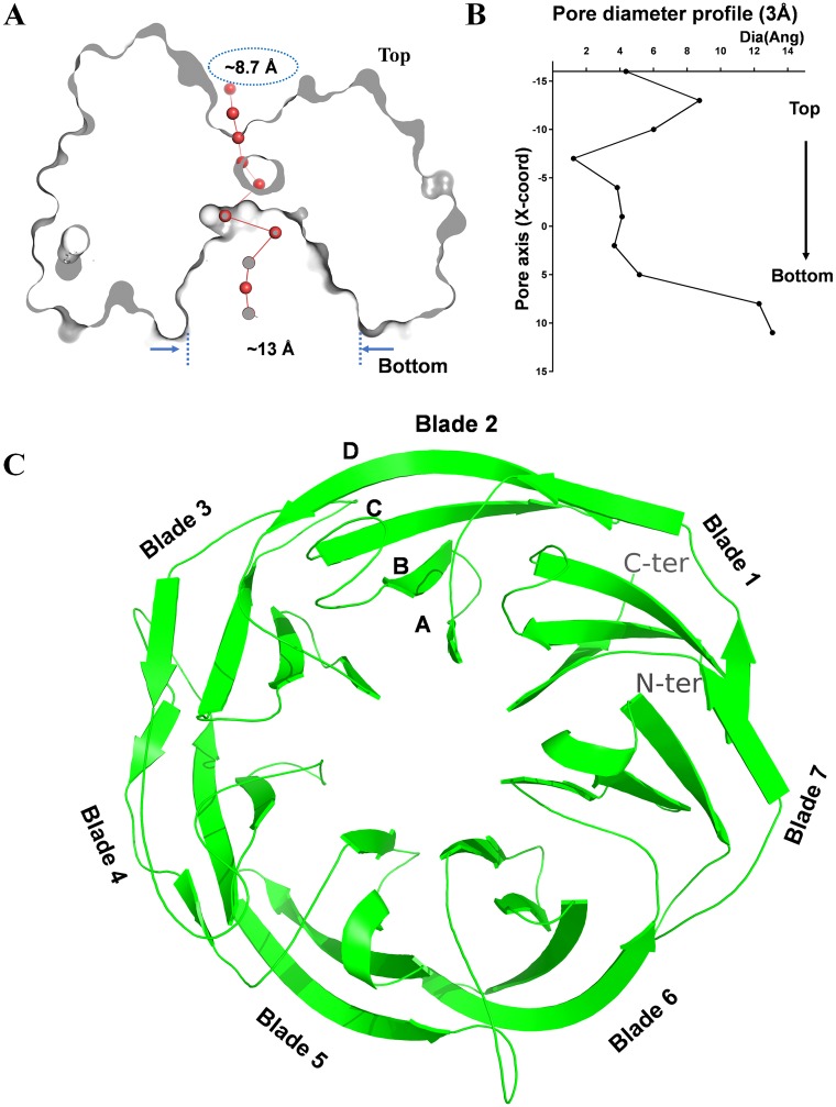 FIG 1