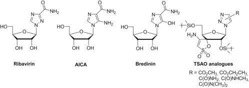 Fig. 2