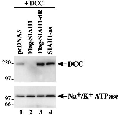 FIG. 8