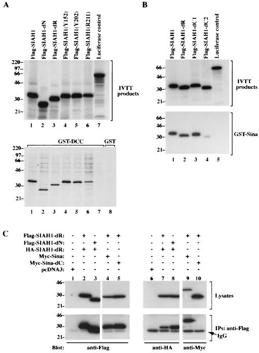 FIG. 6