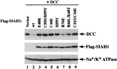 FIG. 5