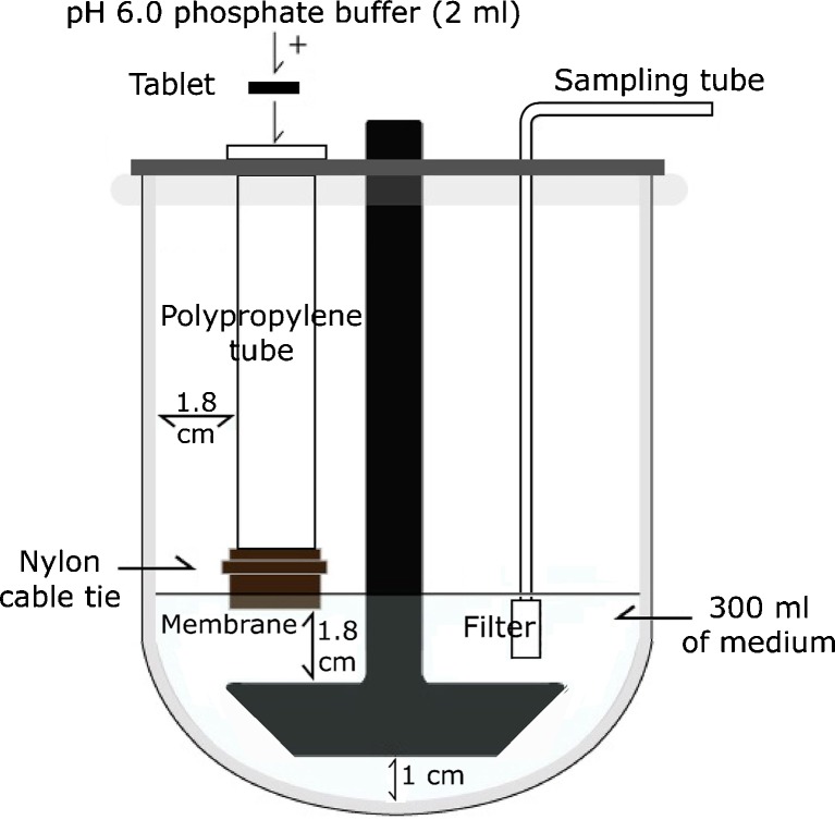 Fig. 1