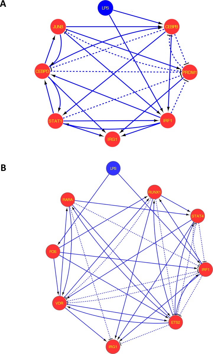 Fig 5