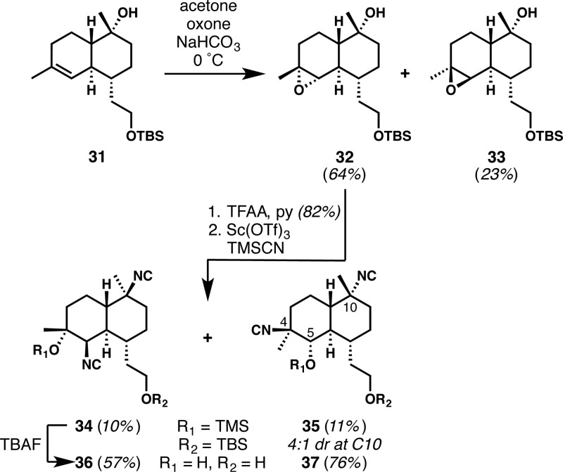 Scheme 3